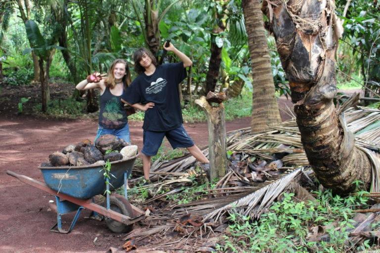 Pahoa Paradise Eco Village מראה חיצוני תמונה