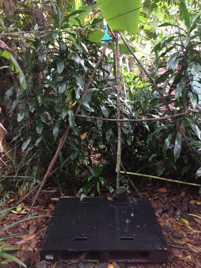 Pahoa Paradise Eco Village מראה חיצוני תמונה