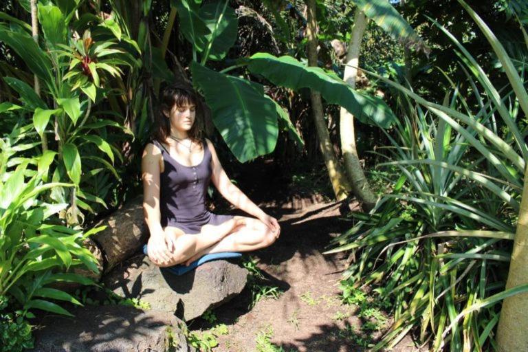 Pahoa Paradise Eco Village מראה חיצוני תמונה