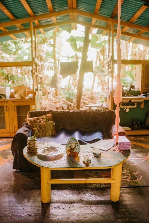 Pahoa Paradise Eco Village מראה חיצוני תמונה