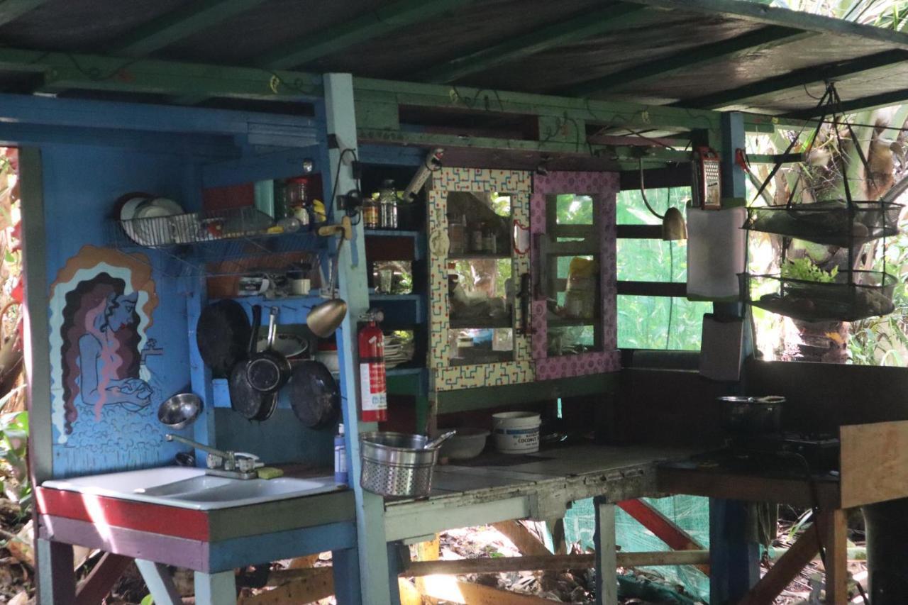 Pahoa Paradise Eco Village מראה חיצוני תמונה
