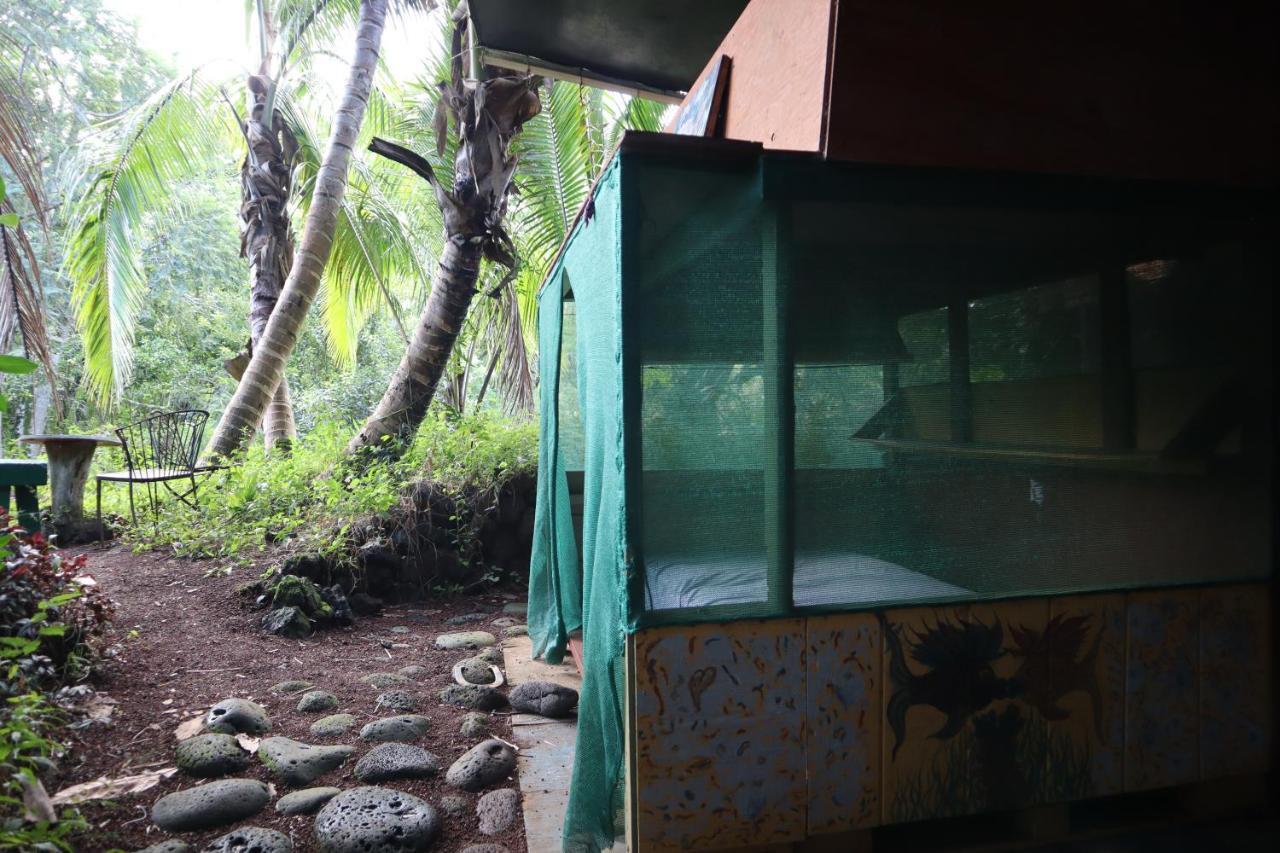 Pahoa Paradise Eco Village מראה חיצוני תמונה