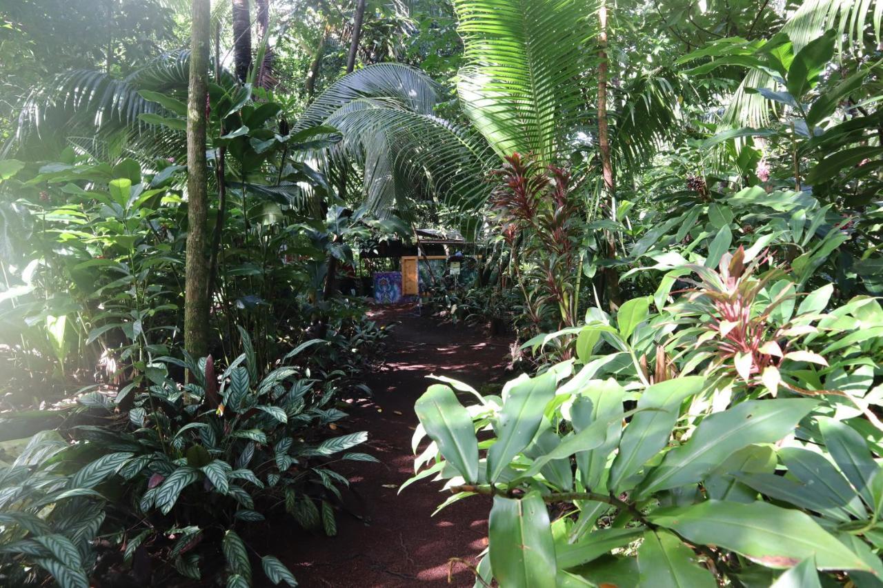 Pahoa Paradise Eco Village מראה חיצוני תמונה
