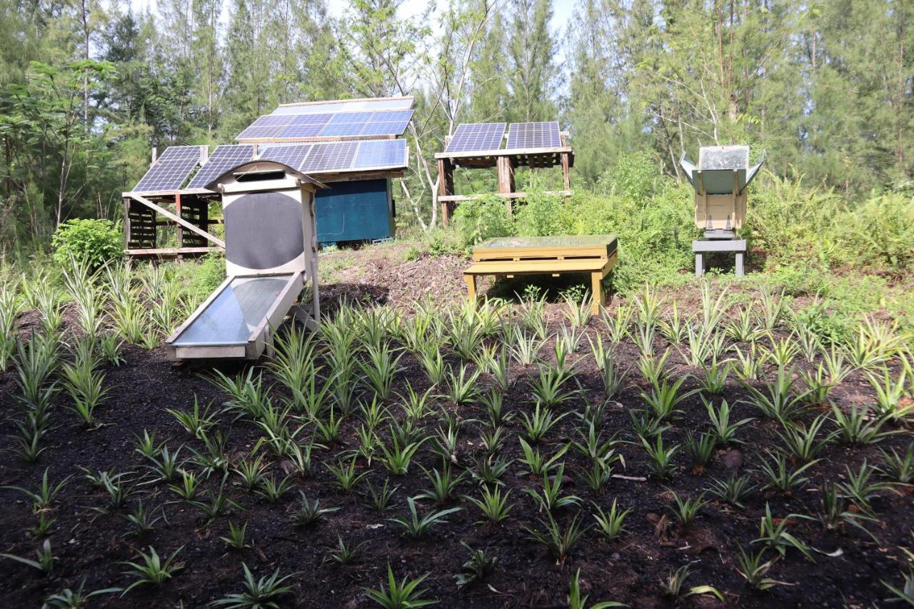Pahoa Paradise Eco Village מראה חיצוני תמונה