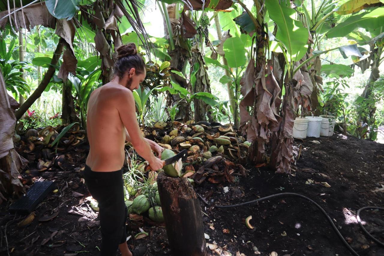 Pahoa Paradise Eco Village מראה חיצוני תמונה