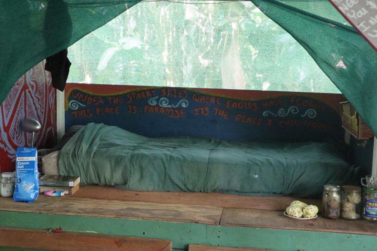 Pahoa Paradise Eco Village מראה חיצוני תמונה