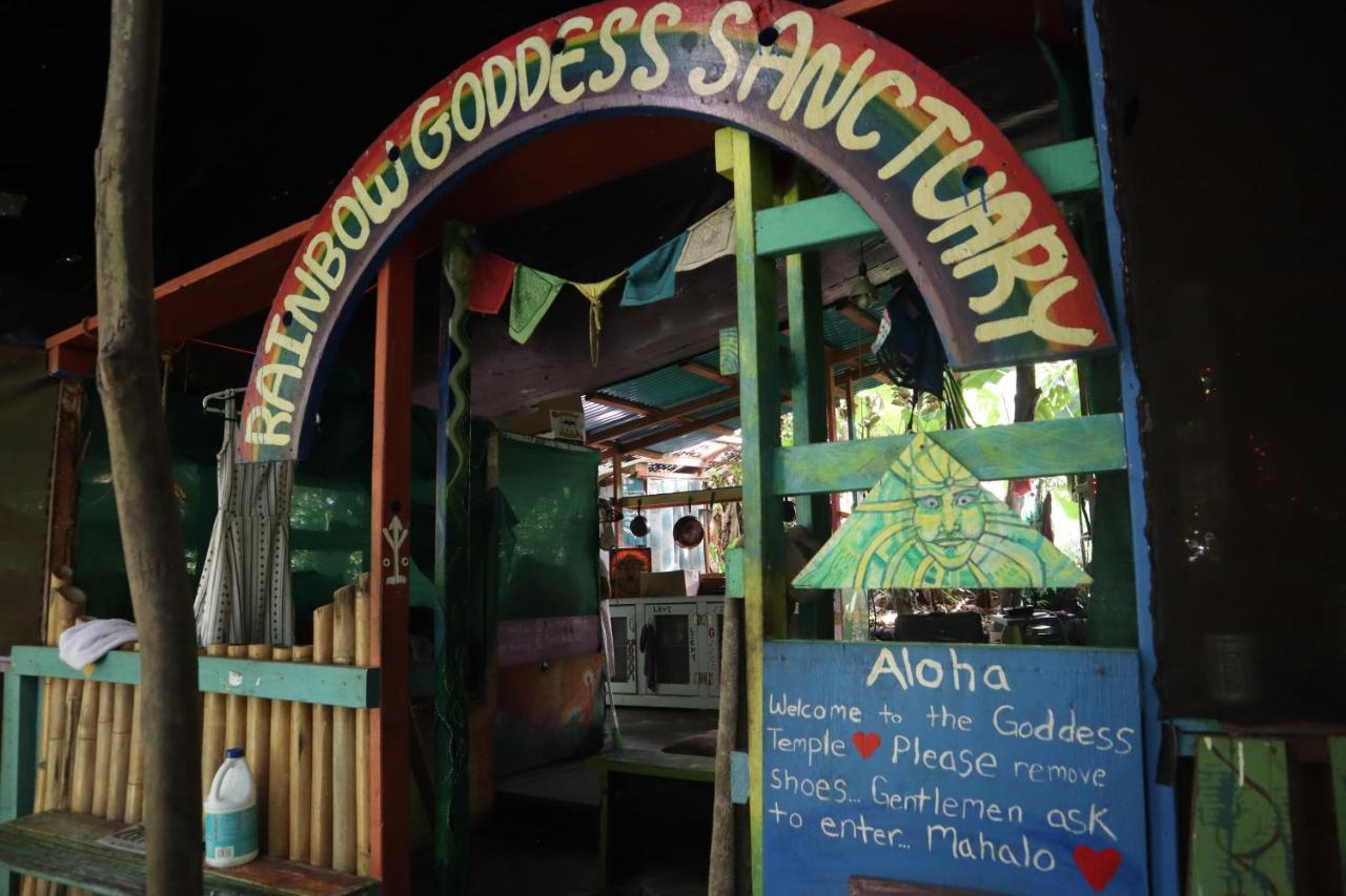 Pahoa Paradise Eco Village מראה חיצוני תמונה