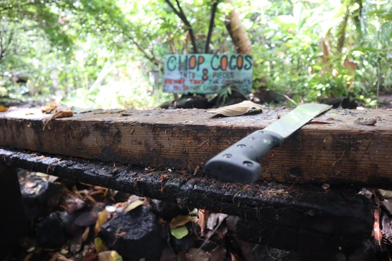 Pahoa Paradise Eco Village מראה חיצוני תמונה